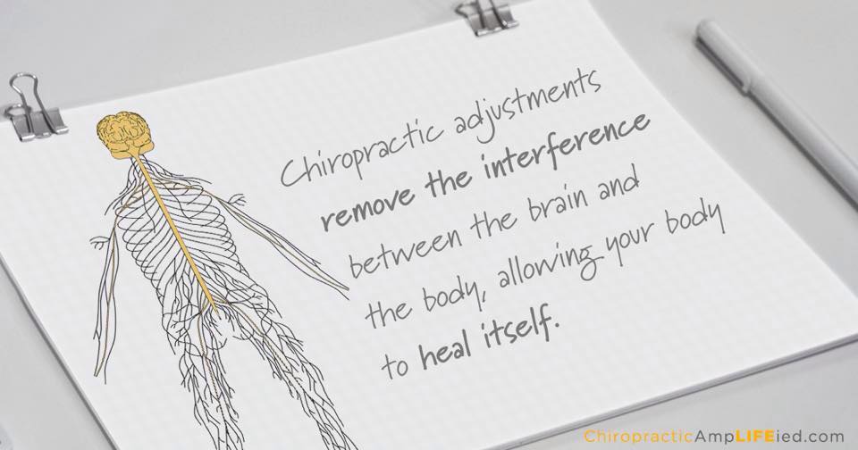 what chiropractors do ...